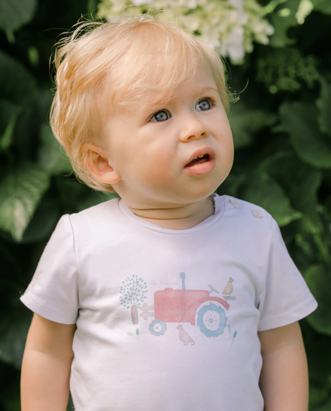 Camiseta GRANJA - Image 2