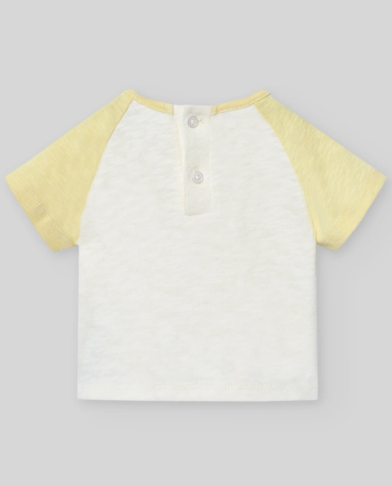 Camiseta POMBA - Image 2